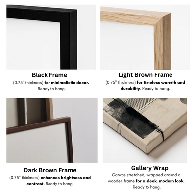 Explore Our Premium Frames