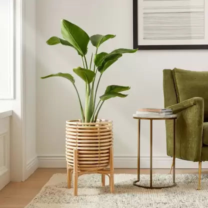 Planters - Bare Boho Living