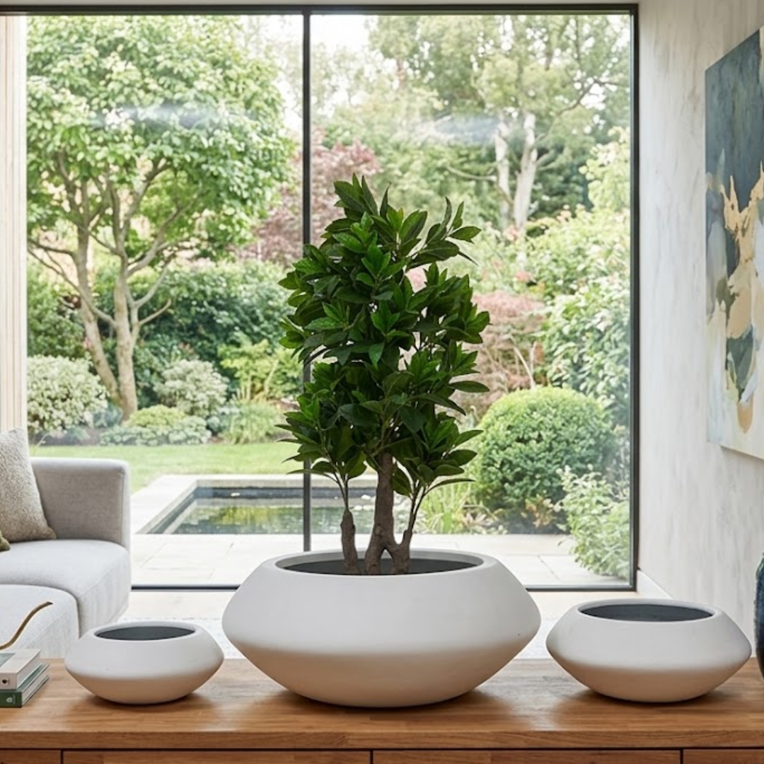 Serene Form Zen Planter
