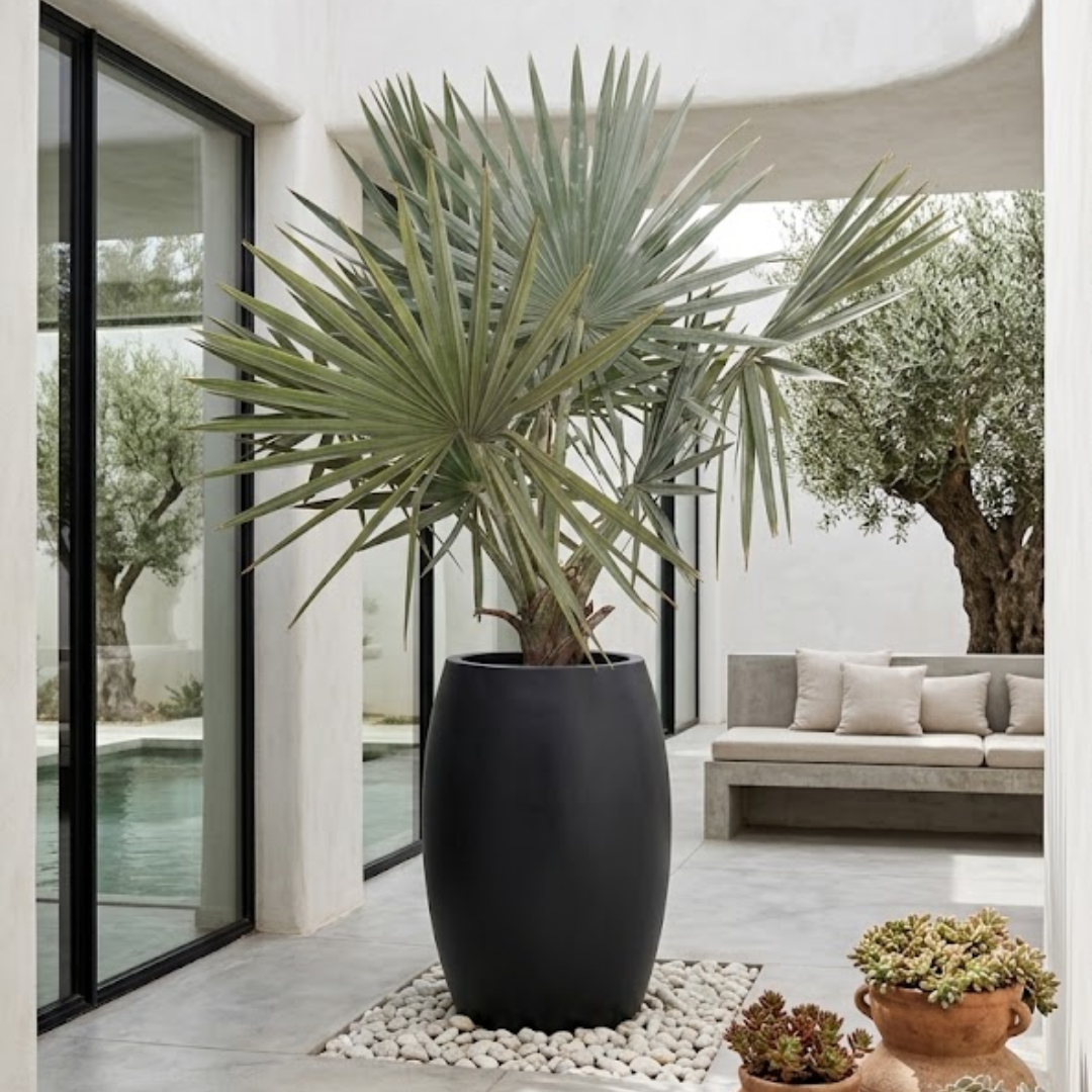 Noir Capsule Planter