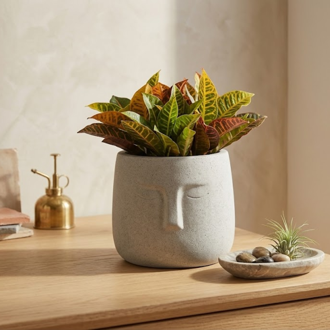 Zen Aura Face Planter