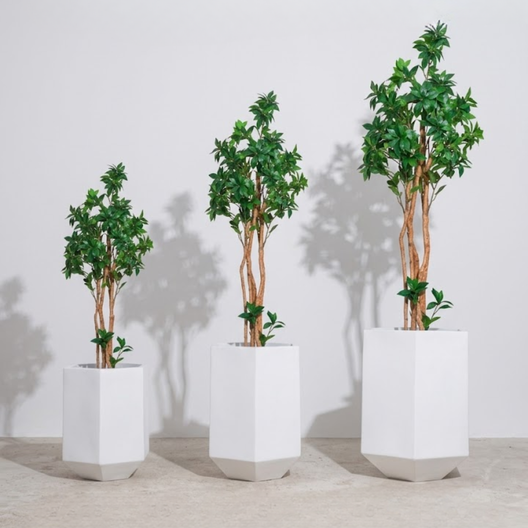Halo Facet Planter