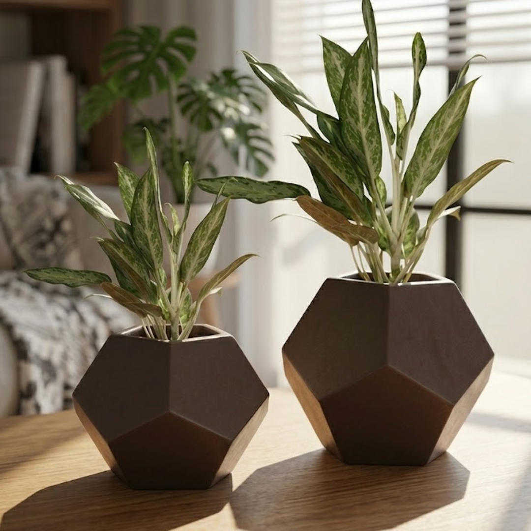 Mocha Prism Planter