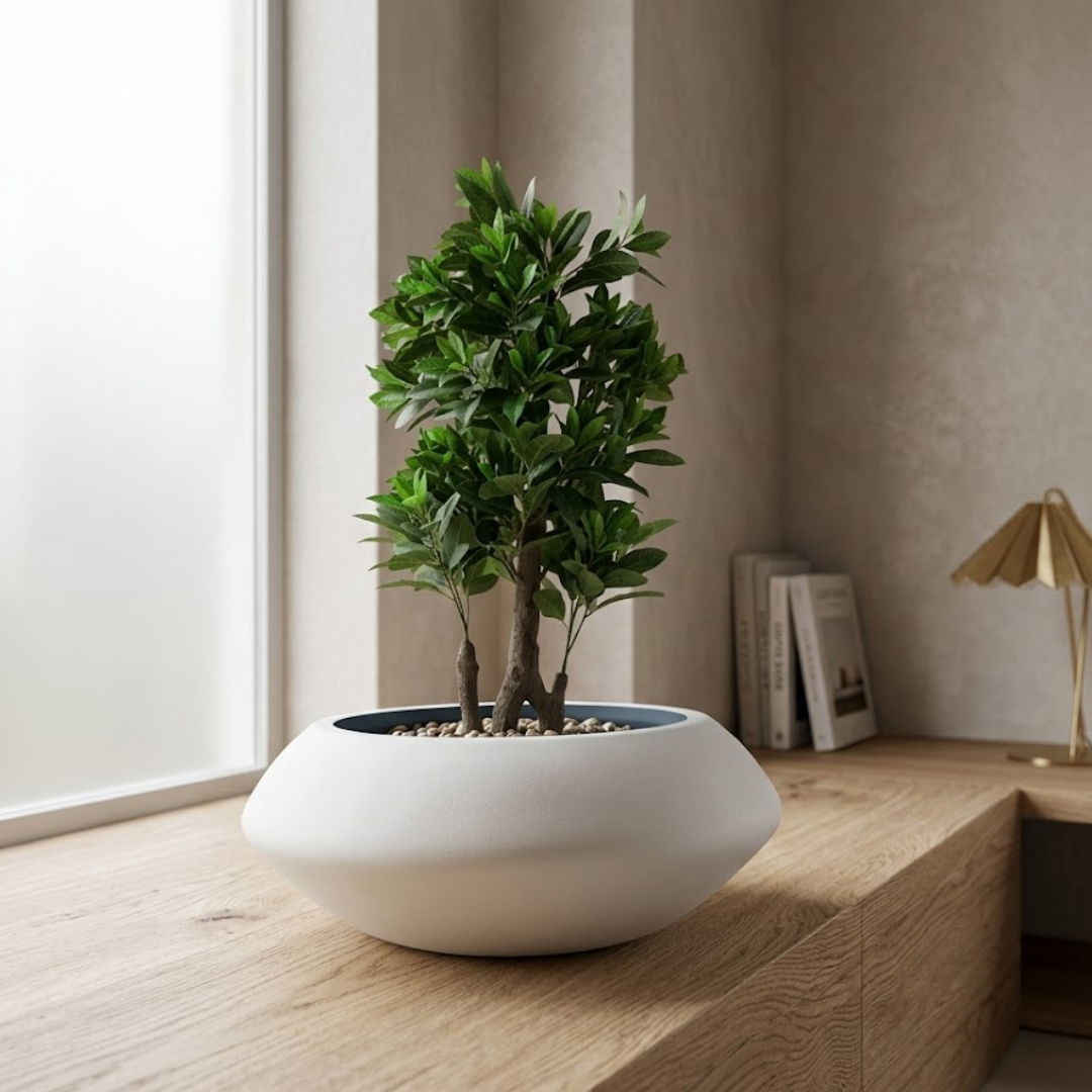 Serene Form Zen Planter
