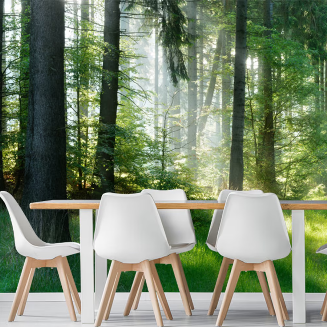 Evergreen Spruce Forest Wallpaper