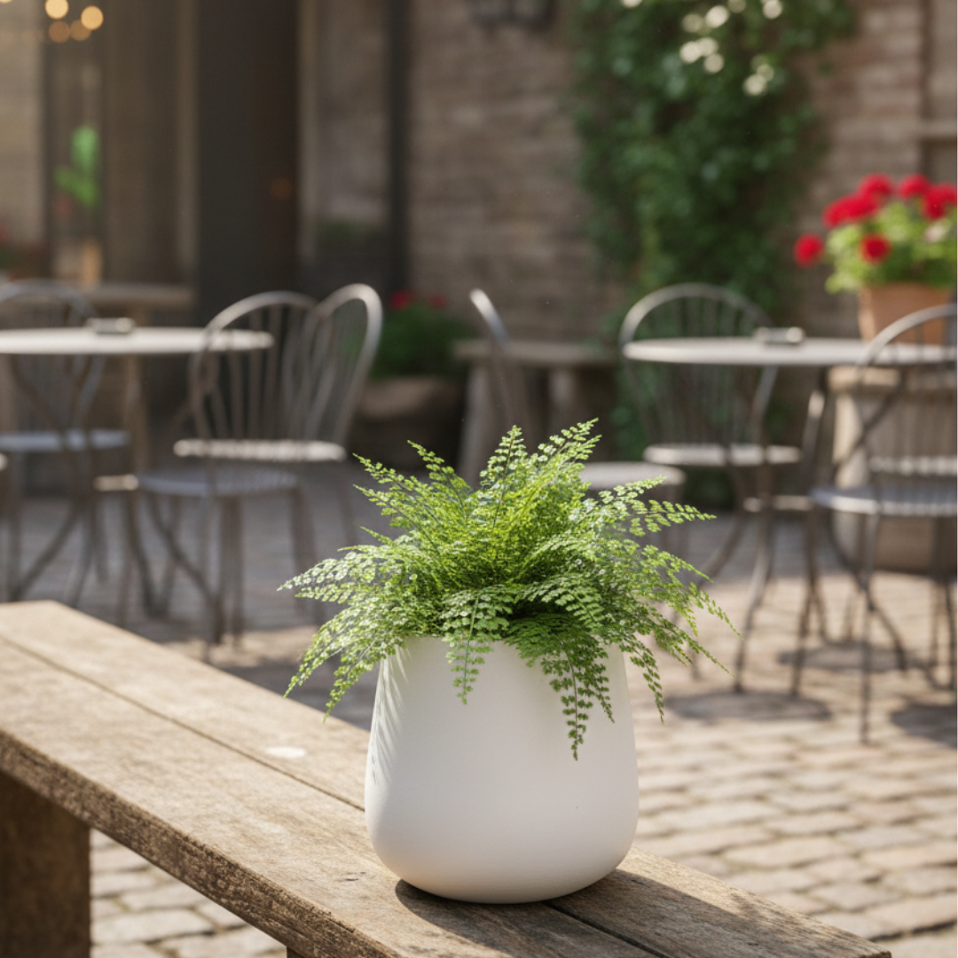Ivory Orb Planter