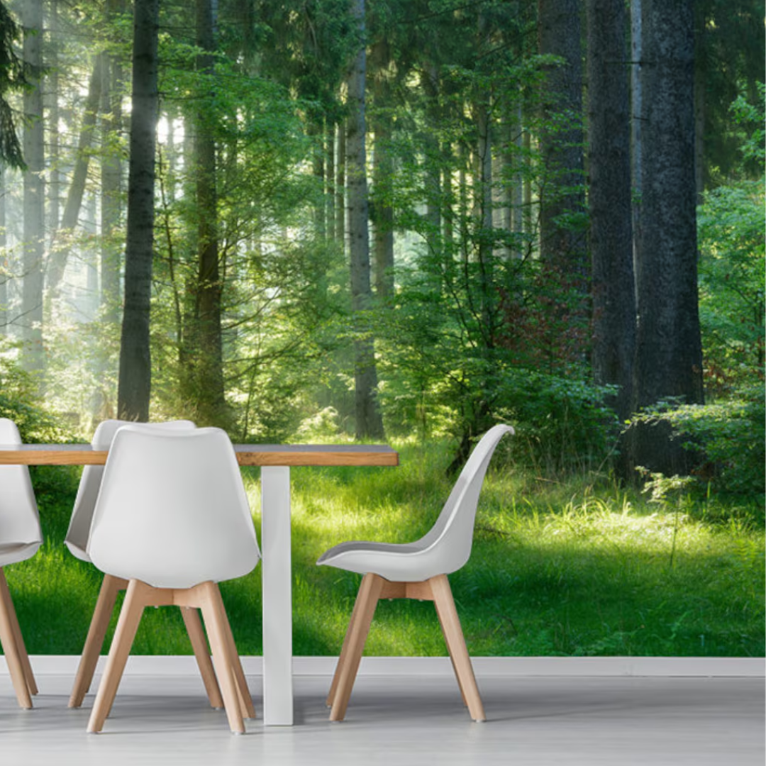 Evergreen Spruce Forest Wallpaper