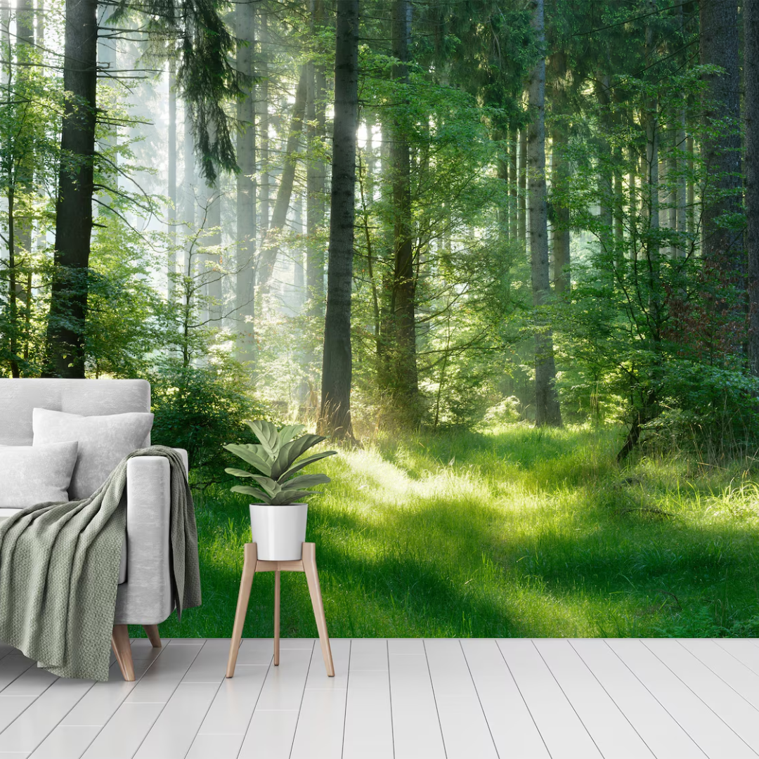 Evergreen Spruce Forest Wallpaper