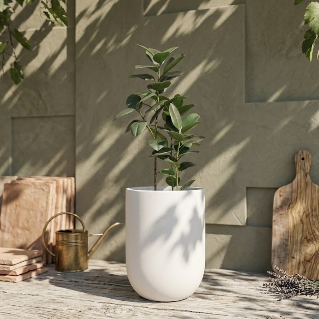 Evara Silhouette Planter