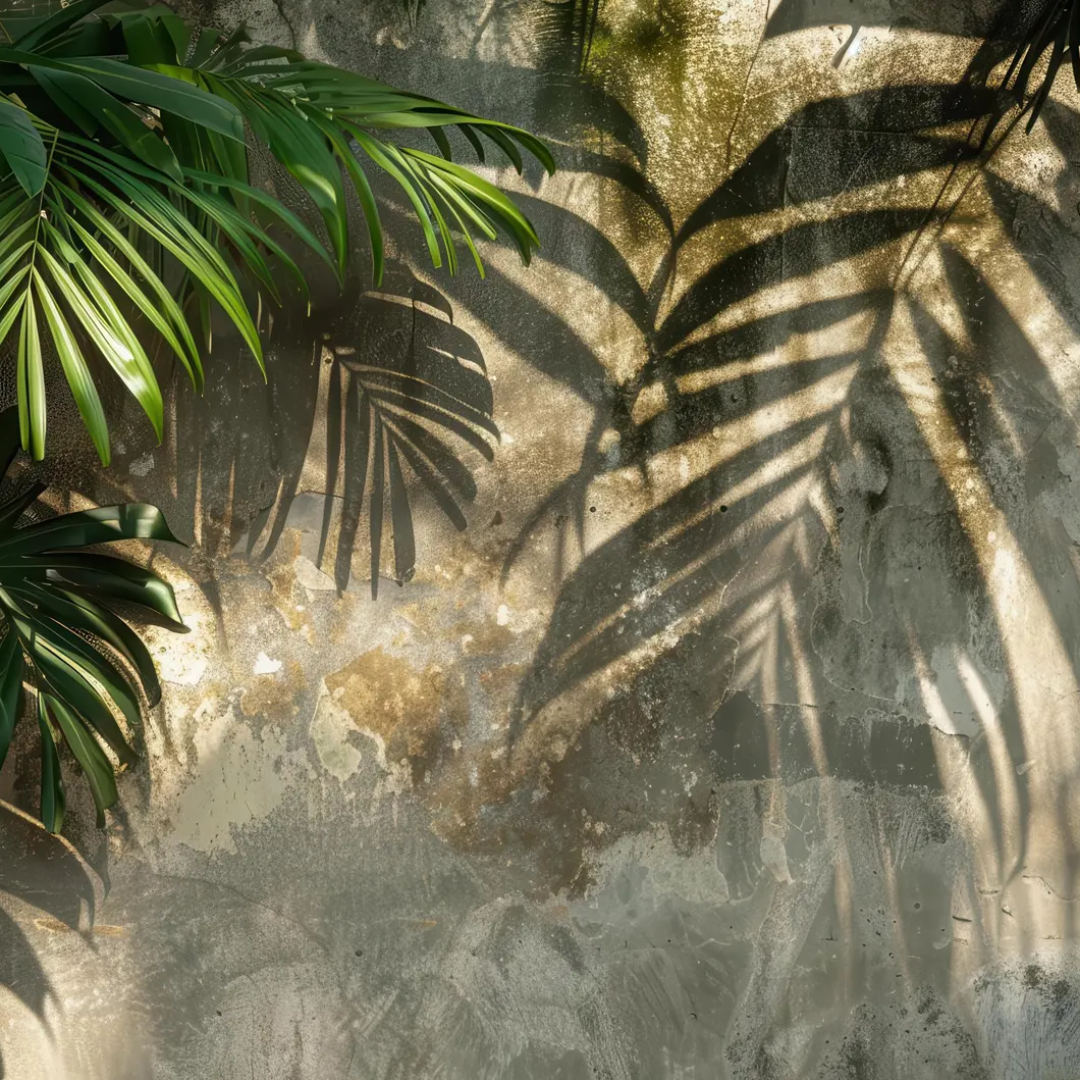 Luma Palm Shadow Wallpaper