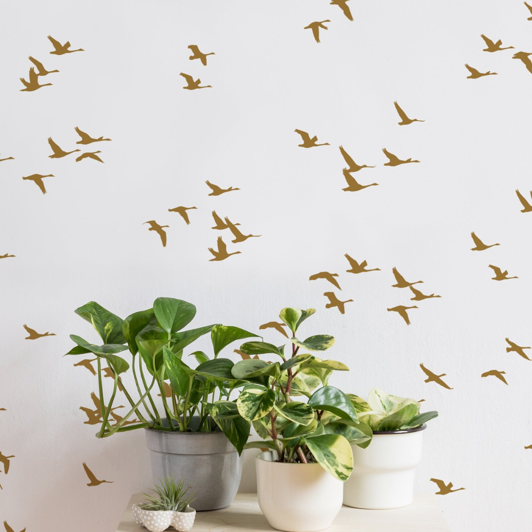Alora Soaring Birds Wallpaper