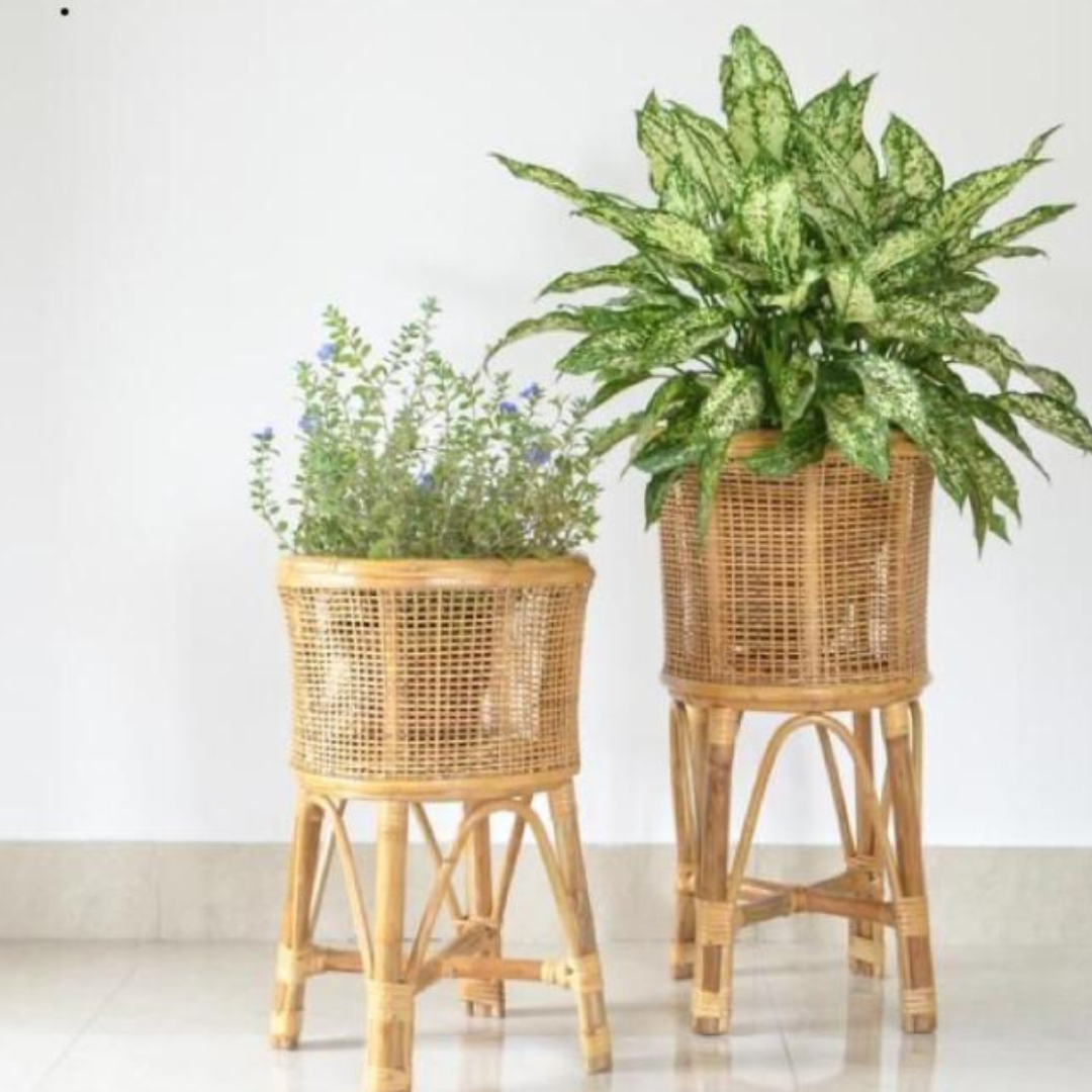 Sunshine Rattan Planter (Copy) - Bare Boho Living