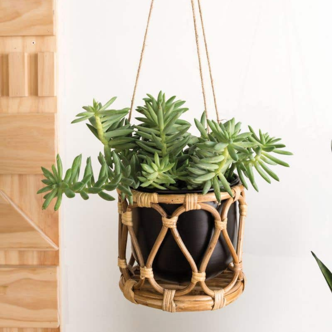 Best Boho Living Furniture Wall Decor Table Decor Decor Furniture Bare Boho Living