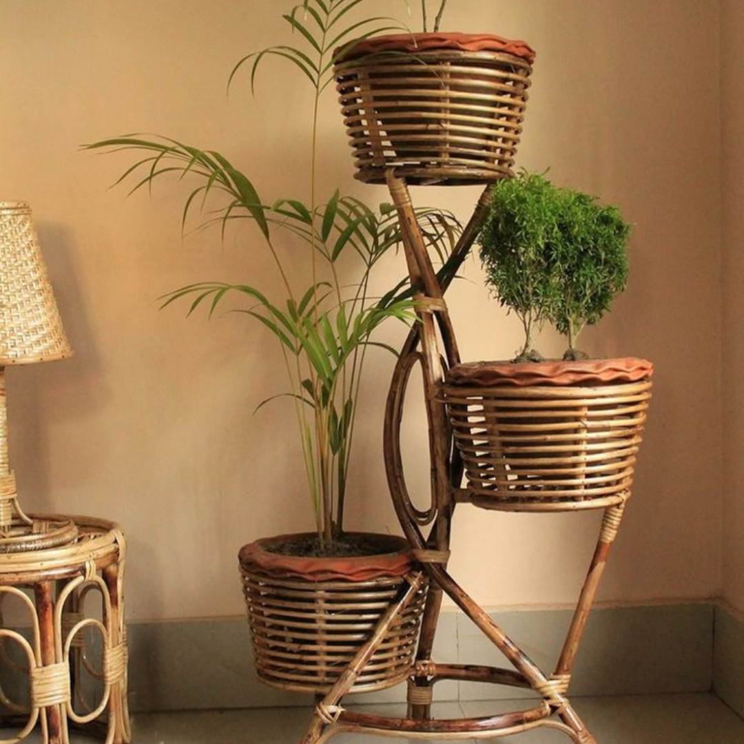 Bohemia Sunshine Cane Planter