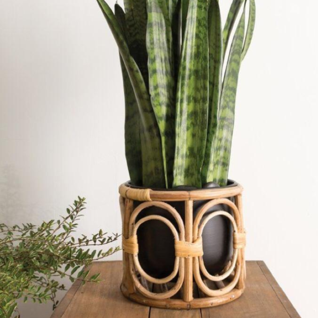 Best Boho Living Furniture Wall Decor Table Decor Decor Furniture Bare Boho Living