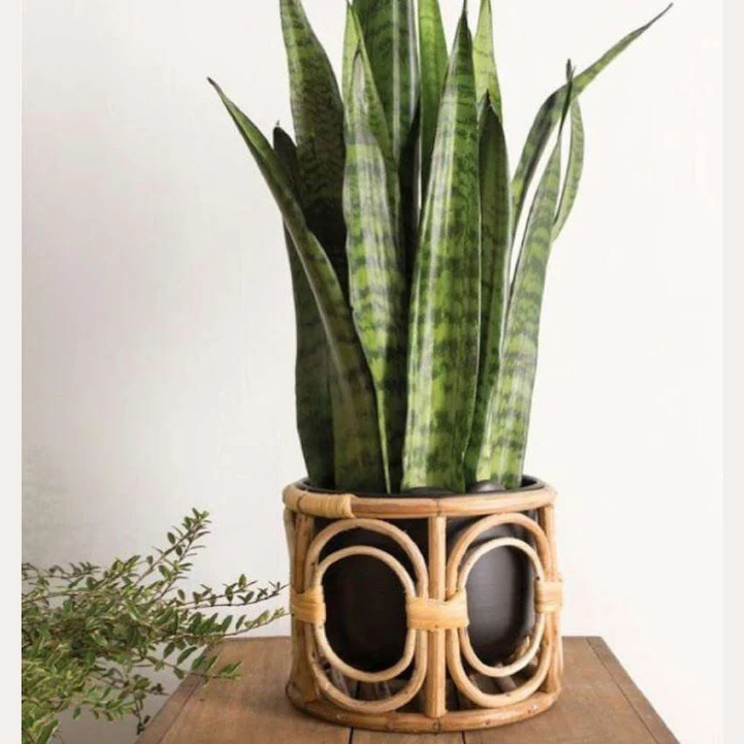 Best Boho Living Furniture Wall Decor Table Decor Decor Furniture Bare Boho Living