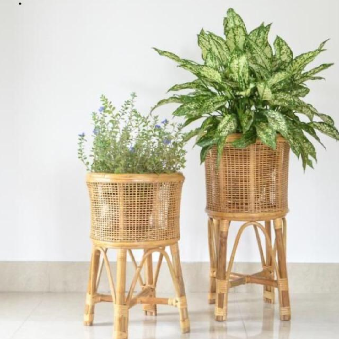 Best Boho Living Extra small Furniture Wall Decor Table Decor Decor Furniture Bare Boho Living